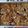 Niranjana 's cooksnap of when they made Nawabi Sawai.