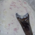 El cooksnap de vbttsss cuando hizo Salsa blanca con maicena (2 ingredientes).