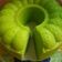 Cooksnap dari ferra untuk resep Bolu Pandan Kukus