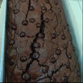 Cooksnap dari Cipta Yulia untuk resep Brownies panggang"shiny crust"