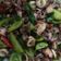 Cooksnap dari Rosiana Sastrodiharjo untuk resep Tumis cumi asin petai cabe hijau