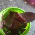 Cooksnap dari Anik Temon Supriyadi untuk resep Es Krim Tumis Cokelat (No Mixer No Pengembang)