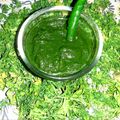 Anupama Maheshwari का कुकस्नैप जब उन्होंने हरा धनिया और लहसुन की चटनी(hara dhaniya aur lahsun ki chutney recipe in hindi) बनाया था।
