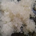 Cooksnap dari Uly Yuliana untuk resep Nasi Shirataki /Beras Shirataki