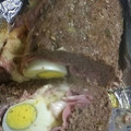 El cooksnap de Gustavo Barriga cuando hizo Pan de carne relleno.