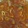 Cooksnap dari Sari Indrawati untuk resep Cumi saos asam pedas