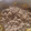 ben.griffith.5's cooksnap of when they made Beef Stroganoff.