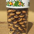 Cooksnap dari Guyam Gayeum untuk resep Skippy Chocolate Peanut Cookies