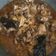 Cooksnap dari Choiriah Amin untuk resep Kerongkongan/balungan ayam saus padang