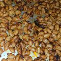 Cooksnap dari Kamikaze 99 untuk resep Kacang Thailand pedes gurih wangi