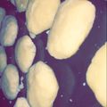 صورة من Wgdan، شاركها بعد تجربة وصفة الغريبه من ايدي