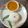 Bhoomi Talati Nayak's cooksnap of when they made જીરા રાઈસ (Jeera Rice Recipe In Gujarati).