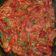 La cooksnap de Vanesa Colomina cuando cocinó Cangrejos de río en salsa picante