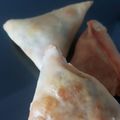 Cooksnap dari yunita adriani untuk resep Irani Samosa with homemade samosa sheet