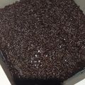 Cooksnap dari Syaa Liansya untuk resep Brownies kukus 4 telur