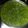 Kuldeep Kaur's cooksnap of when they made Green chutney.