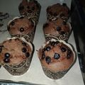 Cooksnap dari Indria Ahmad untuk resep Chocolate Cupcake Choco Chips (Kukus)