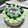 Cooksnap dari Pupud untuk resep Klepon Cake / Ondeh Ondeh Cake