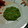 El cooksnap de Núria PV cuando hizo Hamburguesa de brócoli.