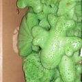 Cooksnap dari Fitri Idasari untuk resep Apem Pelangi Tepung Beras