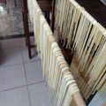 El cooksnap de Hili cuando hizo Fideos al huevo, caseros.