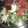 Sunita Singh का कुकस्नैप जब उन्होंने सलाद (salad recipe in Hindi) बनाया था।