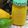 Zainab Aftab's cooksnap of when they made Mango juice.