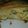El cooksnap de M@bel cuando hizo Tarta de verduras! Para chuparse los dedos!!!.