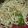El cooksnap de Carol Guerra cuando hizo Chow mein mixto.