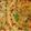 Nalini Shankar's cooksnap of when they made ஹோட்டல் ஸ்டைல் ஆலு பராட்டா (Aloo parotta recipe in tamil).