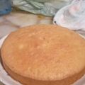 El cooksnap de selva cuando hizo Bizcochuelo esponjoso.