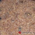 Cooksnap από giotakicv στη συνταγή Κροκάν ξηρών καρπών