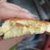 Cooksnap của Chip Chip khi họ làm theo món Bánh bông lan (làm bằng nồi cơm điện)