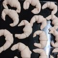 El cooksnap de Gladis graciela Maldonado cuando hizo Facturas fáciles con crema pastelera y membrillo.