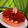 Cooksnap dari Joanne Sebastian untuk resep Strawberry Cake Merah Putih