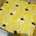 Cooksnap dari vienna untuk resep Lekker Holland (boterkoek)