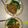 Cooksnap dari Devi Thania untuk resep 124.Mie Ayam rumahan simple