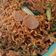 Cooksnap dari Zuhaira Zamila untuk resep Mie Goreng Tek-tek 🍝