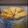 Cooksnap dari Louis Annastasia untuk resep Pisang Goreng Kipas Pontianak