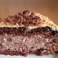 Сooksnap від Евгения 🧁🍨❤️❤️🌸🏵️, який(а) приготував(ла) Торт "Пьяная Вишня".