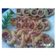 Cooksnap dari Lya Azri untuk resep Caterpillar bread / Roti Caterpillar