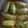 Manisha Sharma's cooksnap of when they made ছানার পুর ভরা পটলের ডালনা (Chanar pur bhora potoler dalna recipe in Bengali).