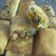 Cooksnap dari Shahnaz untuk resep Lumpia/Risoles Isi Baso Wortel