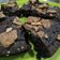 Cooksnap dari Aida Fitriah Risbariah untuk resep Brownis kukus