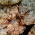 Cooksnap dari Chu Thea untuk resep Cireng nasi crispy