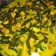 Cooksnap dari Marti emad untuk resep Sayur Santan Tempe Kacang Panjang
