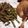 Cooksnap de Scox sur la recette Confit de canard maison