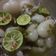 Cooksnap dari nindy hikmah untuk resep Asinan rambutan pedas asam manis