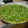 El cooksnap de LADYRASTA cuando hizo Tarta de Kiwi.