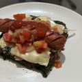 El cooksnap de Susy Castanien cuando hizo Sándwich en pan de espinacas.